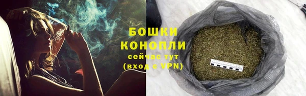 стаф Пересвет