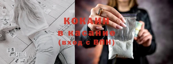 дживик Абаза