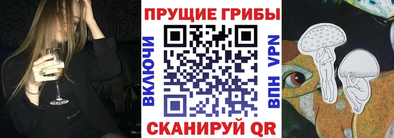 Галлюциногенные грибы Psilocybine cubensis  Вилючинск 