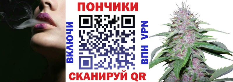 где можно купить   Вилючинск  Бошки Шишки индика 
